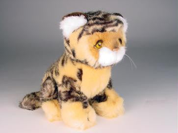 "Princeton" Bengal Tiger
