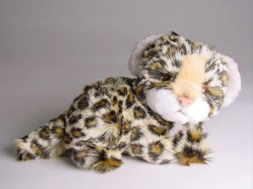 "Freckles" Leopard Cub