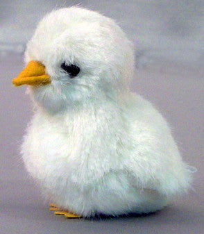 "Pea" White Chick