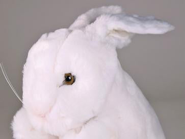 "Trixie" Bunny Rabbit
