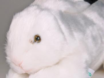 "Peeps" Bunny Rabbit