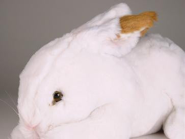 "Cadbury" Bunny Rabbit