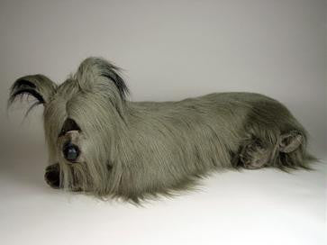 "Greyfriars" Skye Terrier