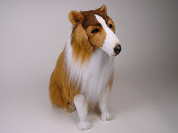 "Lassie" Collie