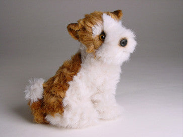 "Polly" Wire Fox Terrier