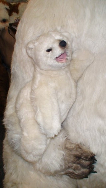 "Binky" Polar Bear