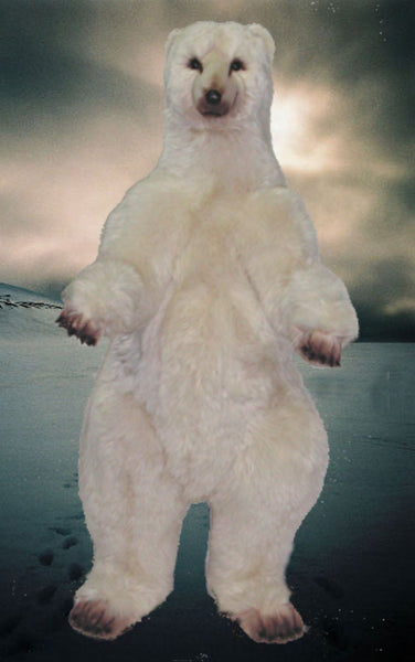 "Thornton" Polar Bear