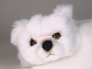 "Bundaberg" Polar Bear