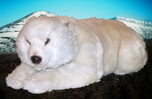 "Franka" Polar Bear