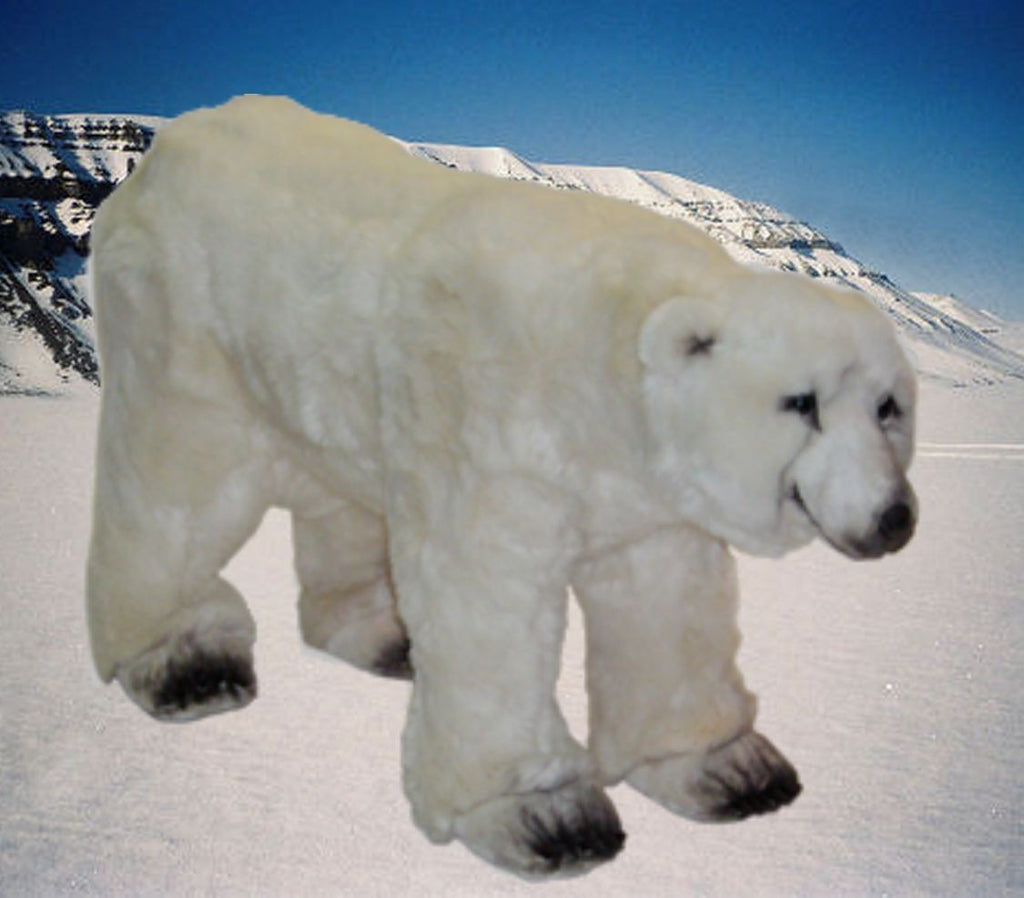 "Luk" Polar Bear