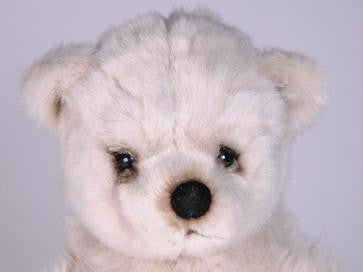 "Eisbar" Polar Bear