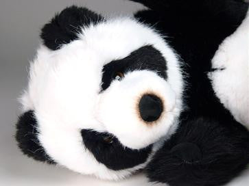 "Long Shan" Panda