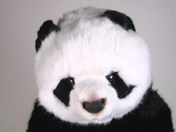 "Mei Xiang" Panda