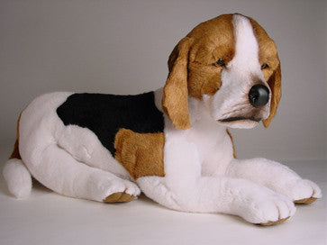 "Shiloh" Beagle