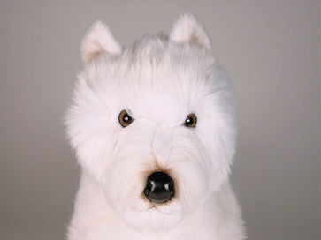 "Piper" West Highland Terrier