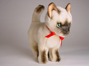 "Ling Ling" Siamese