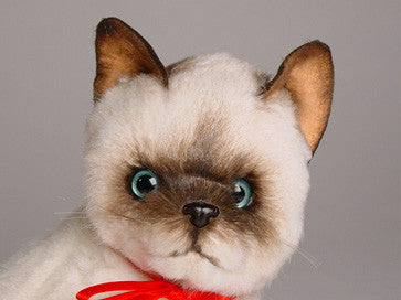 Pyewacket Animal