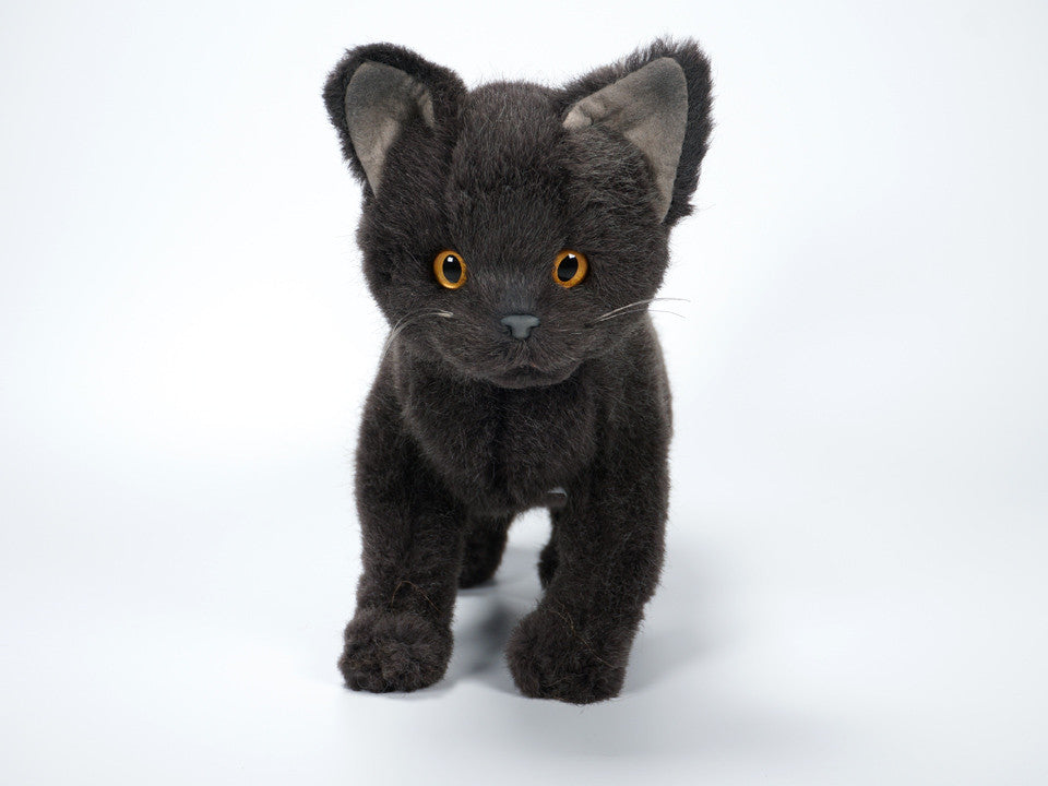 Salem the cat sales plush