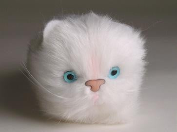 "Fluff" White Cat