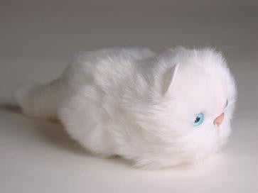 "Fluff" White Cat
