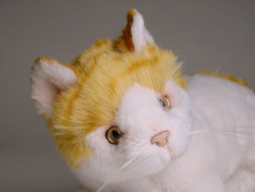 "Allie Ballie" Orange Tabby Cat