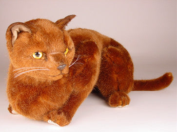 "Tarawood" Burmese Cat