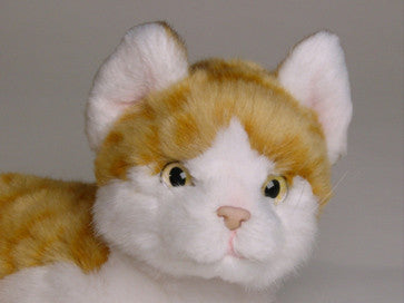 "Napoli" Orange & White Tabby Cat