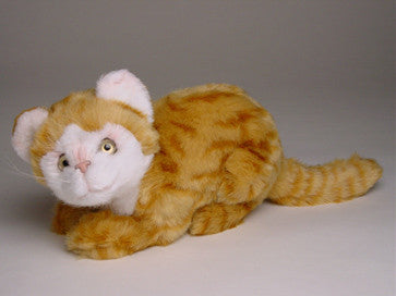 "Fiona" Red & White Tabby Cat
