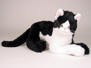 "Creme Puff" Black & White Cat