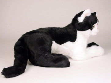"Creme Puff" Black & White Cat