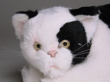 "Nin" Black & White Cat