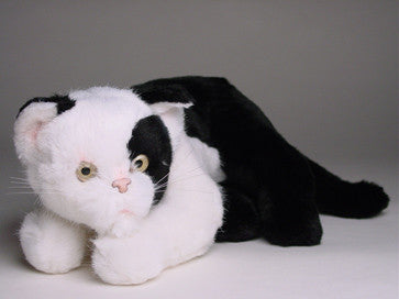 "Nin" Black & White Cat