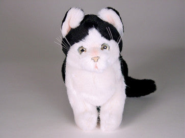 "Humphrey" Black & White Cat