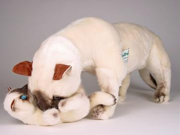 "Koko & Scratchmi" Siamese Cats