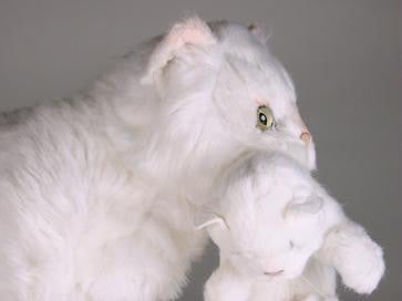 "Marshmallow & Fluff" White Persians