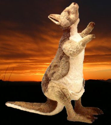 "Roo" Kangaroo