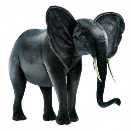 "Hattie" Elephant