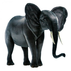 2441-elephant-extra-large-