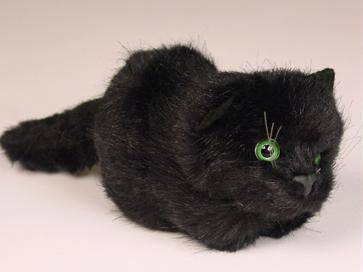 "Dalton" Black Cat