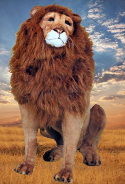 "King" Lion