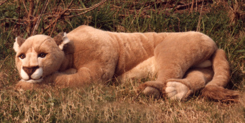 Leyoncé Lioness