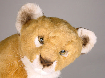 "Leonardo" Lion Cub