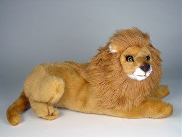 "Simba" Lion Cub