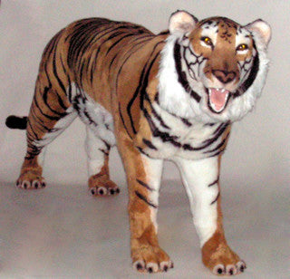 "Raj" Bengal Tiger