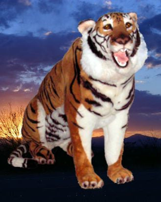 "Ming" Bengal Tiger