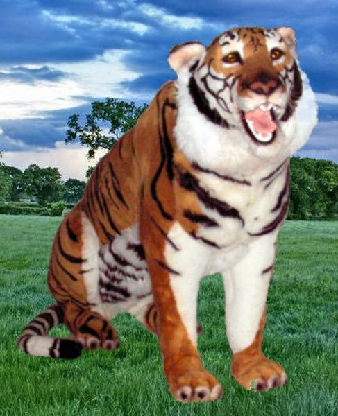 "Ming" Bengal Tiger