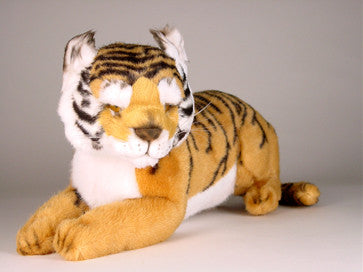 "Yuki" Bengal Tiger