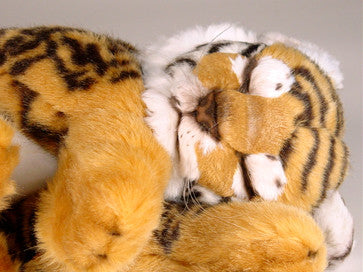 "Tigger" Bengal Tiger