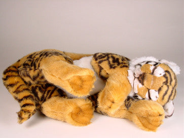 "Tigger" Bengal Tiger