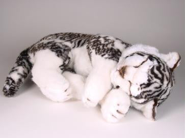 "Nirvana" White Siberian Tiger